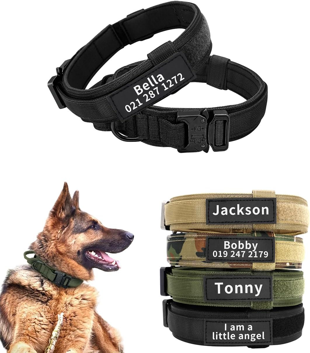 collier personnalisé chien de chasse