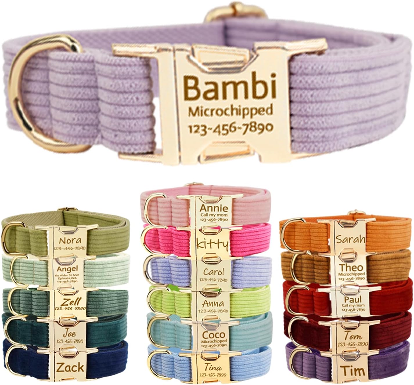 collier pour chien personnalisé