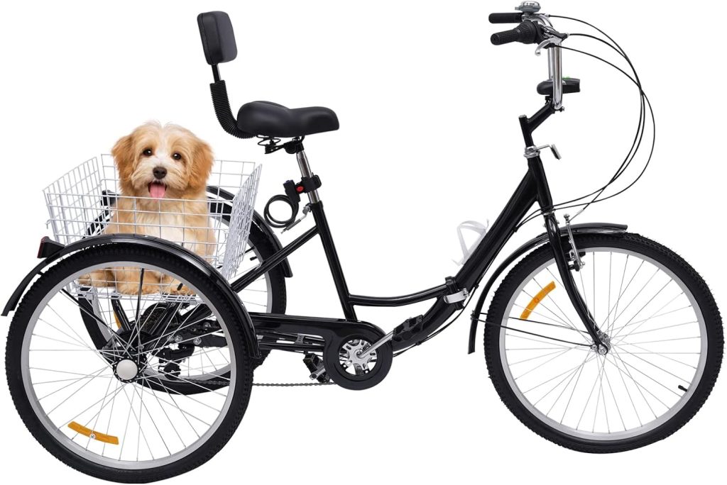 vélo avec panier pour chien