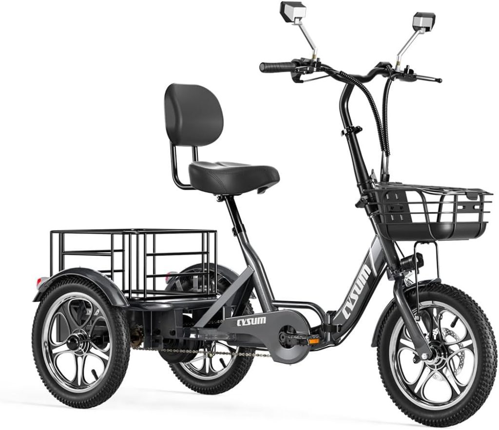 vélo cargo chien électrique tricycle