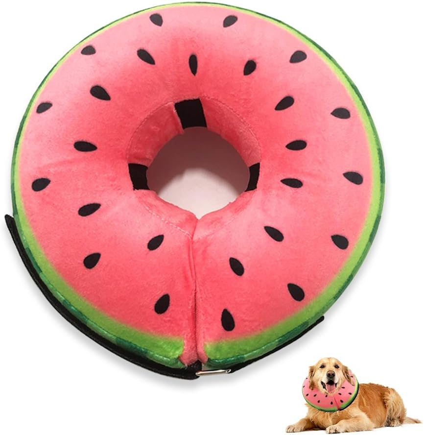 collerette gonflable chien anti lechage design drole de pasteque