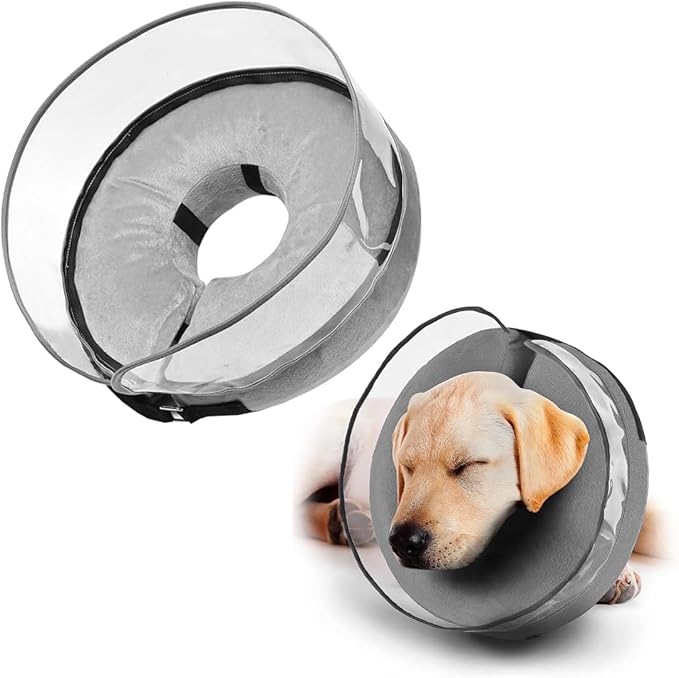 collerette gonflable pour chien moyen