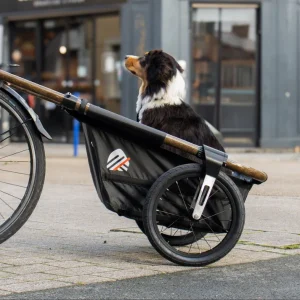 remorque velo chien maina